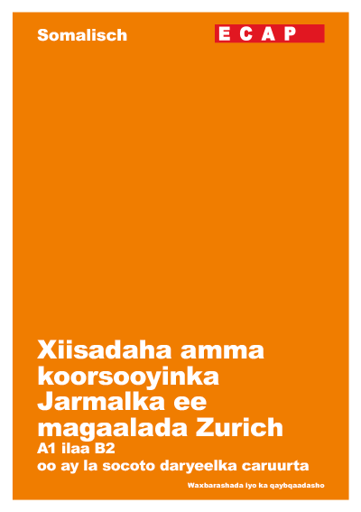Flyer somalisch